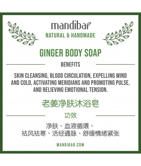 Ginger Body Soap
