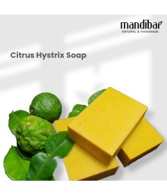 Citrus Hystrix Soap