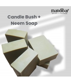 Candle Bush + Neem Soap